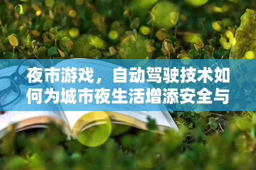 夜市游戏，自动驾驶技术如何为城市夜生活增添安全与乐趣？