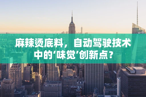 麻辣烫底料，自动驾驶技术中的‘味觉’创新点？