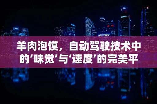 羊肉泡馍，自动驾驶技术中的‘味觉’与‘速度’的完美平衡？