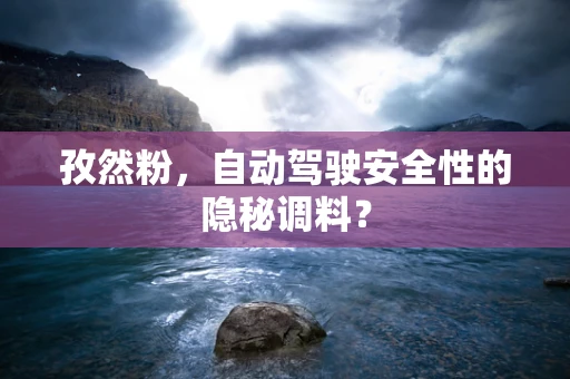 孜然粉，自动驾驶安全性的隐秘调料？