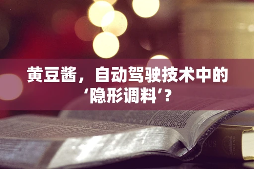 黄豆酱，自动驾驶技术中的‘隐形调料’？